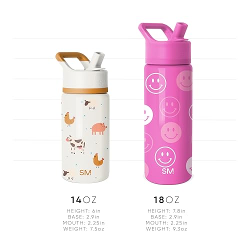 Simple Modern Kids Summit Water Bottle with Straw Lid | Sesame Street 14oz Stainless Steel Cup Insulated Tumbler for Boys, Girls, School | Elmo Says