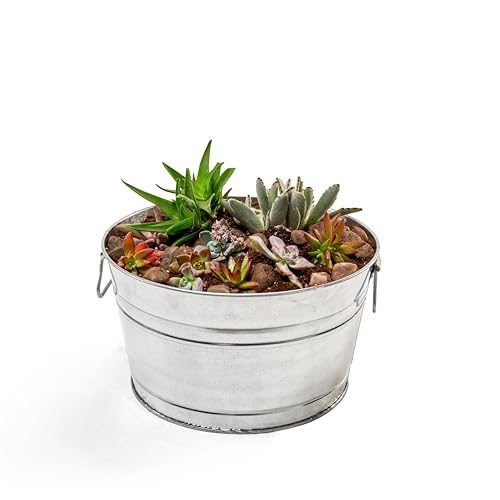 Behrens 5 Gallon Steel Tub Set of 3 - Multipurpose Galvanized Metal Tubs