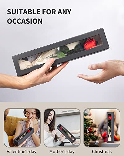 Preserved Long Stem Real Rose - Forever Flower Gift for Her