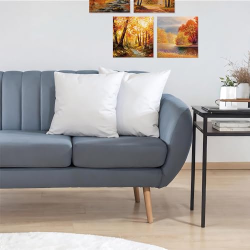 JIEITIVE Premium Hypoallergenic Throw Pillow Insert - 16 x 16 Inch Square