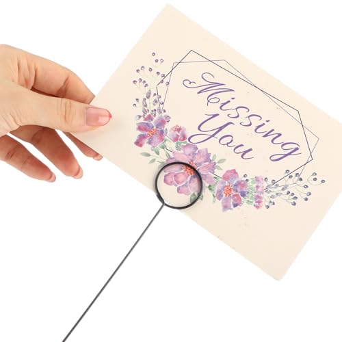 30 Pcs Floral Card Holder Picks, 13.4-Inch Metal Wire Photo Sticks, Black