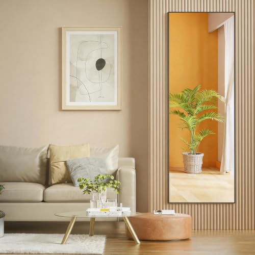 Full Length Over-the-Door Mirror - 51 x 16 Inch Shatterproof Wall Mirror