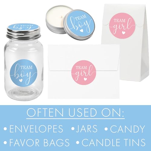 Pink & Blue Gender Reveal Stickers 40 Count – Team Boy & Girl Voting Decals for Party