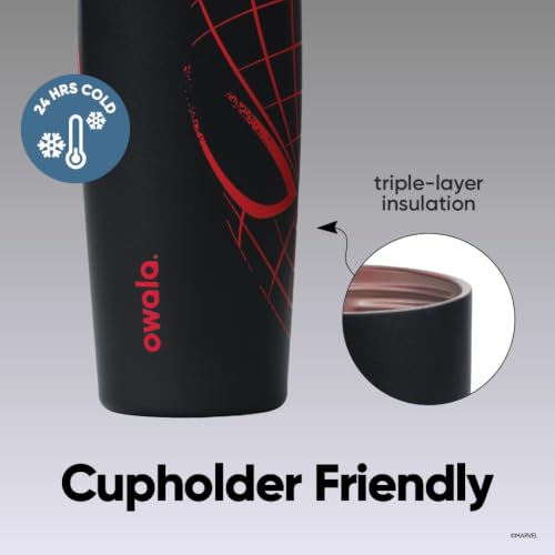 Insulated Stainless Steel Water Bottle with 2-in-1 Spout 30 oz