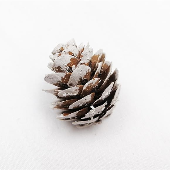 180 PCS Mini Frosted Pine Cones, 2cm Rustic White Snow Pinecone Ornaments