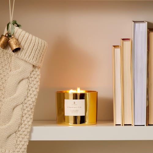 Thymes Frasier Fir Gilded Gold 3-Wick Scented Candle - Holiday Home Fragrance, 17 oz