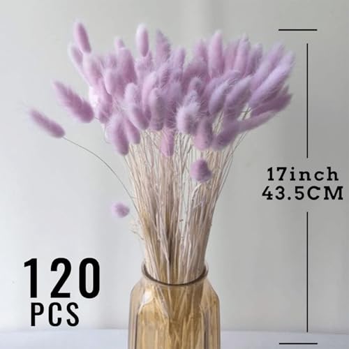 120pc Dried Bunny Tail Grass - 17-Inch Light Purple Boho Floral Decor