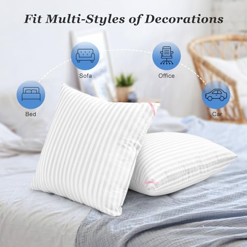 EIUE 20x20 Throw Pillow Inserts (2-Pack) - Soft Polyester Cushion Forms