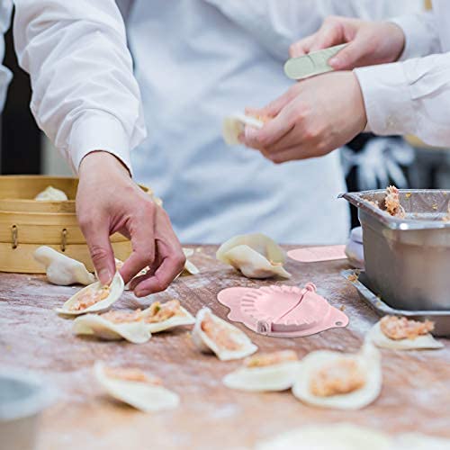 Dumpling and Steamed Bun Mold Set with Filling Spoons Kitchen Tool