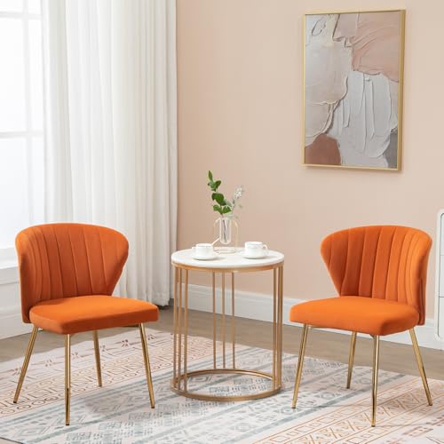 Velvet Dining Chairs Set of 2, Upholstered Vanity Chairs with Gold Metal Legs