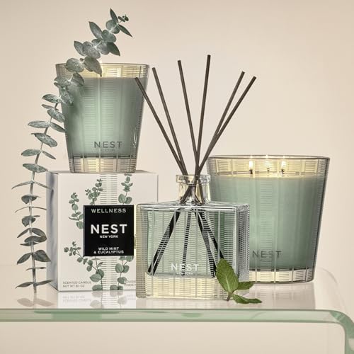 Wild Mint & Eucalyptus Reed Diffuser - 5.9 fl oz Home Fragrance Set