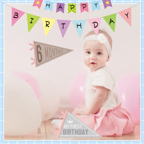 14 Pcs Baby Monthly Milestone Pennant Banner - Felt Photo Prop for Birthdays