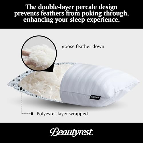 Beautyrest Luxury Goose Feathers Soft Pillows, 500 Thread Count Cover 20”x28”, Queen (Pack of 2), Supportive Fluffy Hotel Collection Bed Pillows for Side and Back Sleepers