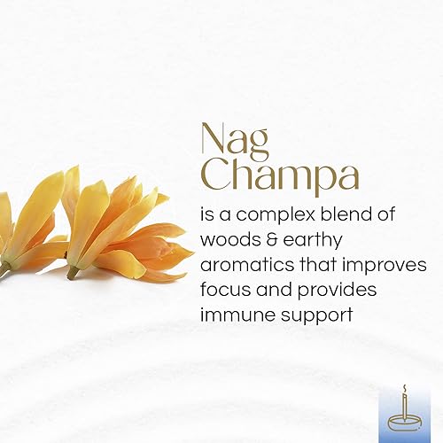 Nag Champa Incense Sticks - 100 Pack Extra Rich Aromatic Charcoal Burn