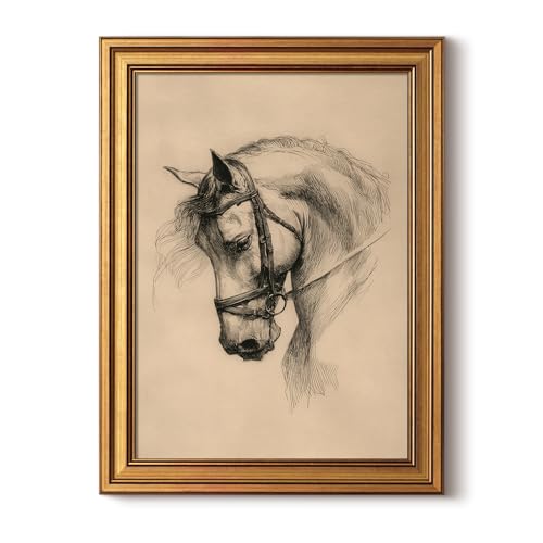 Vintage Horse Sketch Wall Art, 12x16 Gold Framed Animal Canvas Print