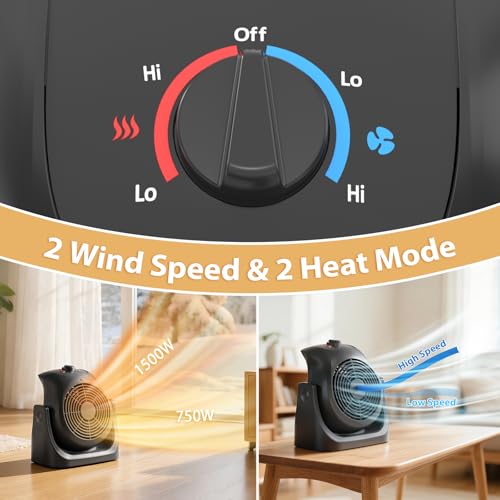 2-in-1 Portable Space Heater and Cooling Fan for Home and Office