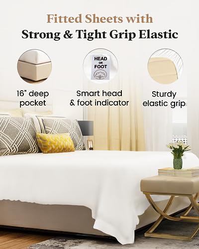 1000 Thread Count Twin XL Fitted Sheet - 100% Egyptian Cotton, 16" Deep