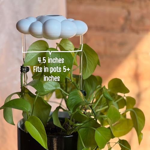 Dripping Rain Cloud Plant Waterer - Decorative Slow Drip Houseplant Accessory