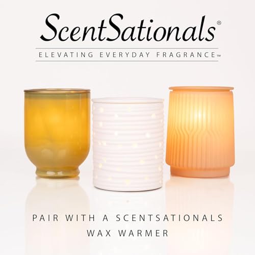Scentsationals Eucalyptus Snow Scented Wax Melts - 10oz Winter Fragrance Cubes