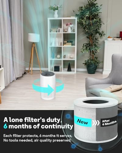 Mini Replacement Filter 2-Pack with True HEPA and Activated Carbon