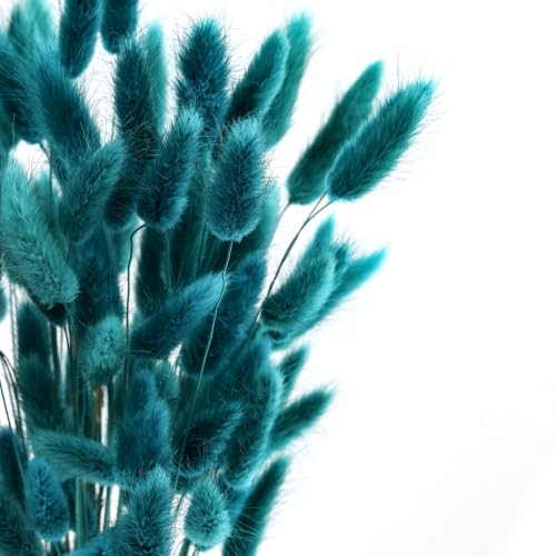 HSTEY 120pcs Bunny Tails Dried Pampas Grass Bouquet - Teal, 17 Inch