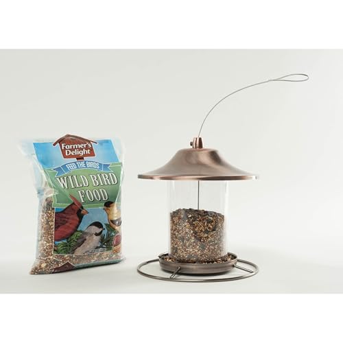 Wagner's 53002 Farmer's Delight Wild Bird Food with Cherry Flavor,