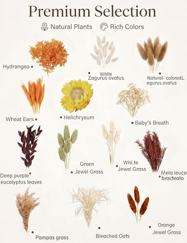 Natural Dried Flower Bouquet Set for DIY Floral Arrangements & Decor