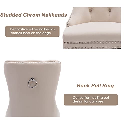 Velvet Upholstered Dining Chairs with Nailhead Trim, Set of 4, Beige