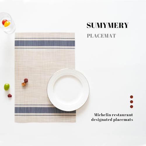 Woven Vinyl Placemats Set of 4 - Heat-Resistant Washable Dining Table Mats