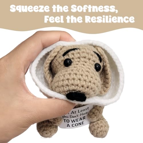 Handmade Crochet Dog Plush – Funny Surgery Recovery & Get Well Soon Gift