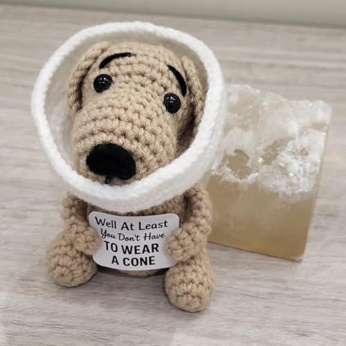 Handmade Crochet Dog Plush – Funny Surgery Recovery & Get Well Soon Gift