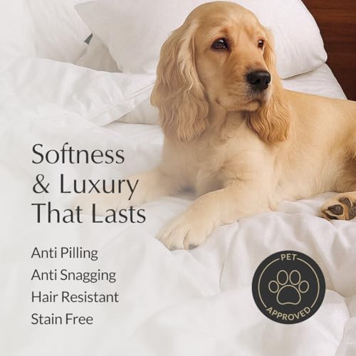 Buffy Cloud Cooling Comforter - Lightweight Queen/Full Size for Hot Sleepers