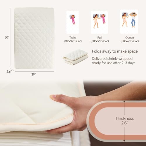 Folding Japanese Floor Mattress, Twin Memory Foam Futon Bed with Cover