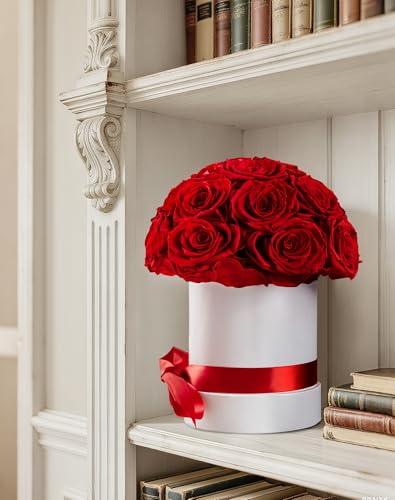 Hover Flower 18-Piece Red Dome Preserved Roses - Real 2-Year Lasting Bouquet in Gift Box
