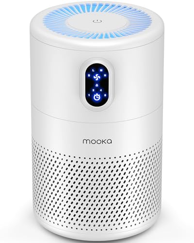 Large Room Air Purifier with H13 True HEPA Filter and Night Light