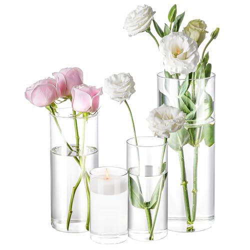 Clear Glass Cylinder Vases - Set of 4 (4, 6, 8, 10 Inch) for Centerpieces
