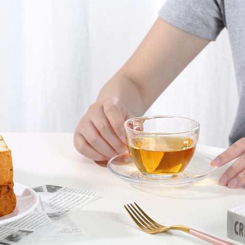GURUDAR 7OZ/210ML Glass Teacup and Saucer Set with Stainless Steel Spoon - Variation 01