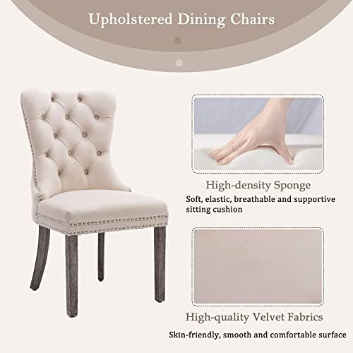 Velvet Upholstered Dining Chairs with Nailhead Trim, Set of 4, Beige
