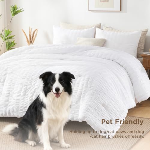 Seersucker Queen Comforter Set - 3 Piece Soft Washed Microfiber Bedding, White