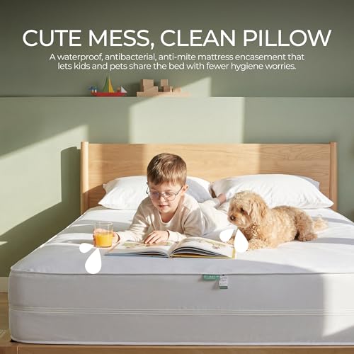 Waterproof Cotton Mattress Protector - Queen Size, Bed Bug & Dust Mite Proof, Noiseless & Breathable