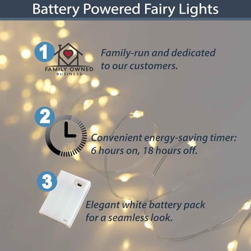 QBIS 40 Warm White Battery-Operated Fairy Lights, Silver Wire, 6.5ft - 1PK