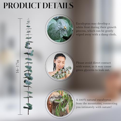 Preserved Dried Eucalyptus Stems Shower Bundle - 17 Inch Branches (30 Pcs)
