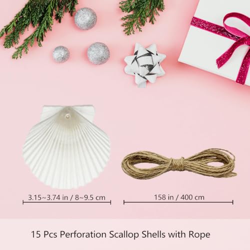 3-4 Inch Scallop Seashells with Hole - 15pc Natural White Craft Ornaments
