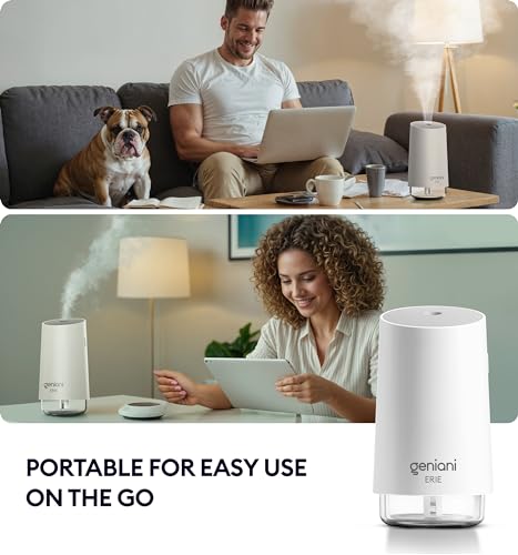 Portable Cool Mist Ultrasonic Humidifier with Auto Shut Off 250ml