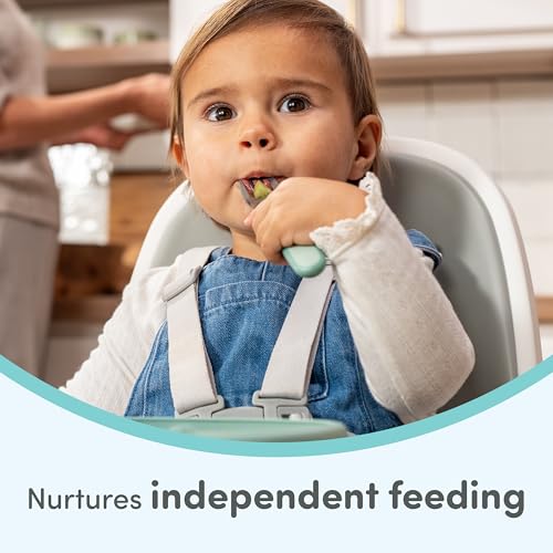 Toddler Stainless Steel Forks 18+ Months, 3-Pack