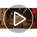 Lighted Christmas Snow Globe with Music and Timer, USB or Battery Operated