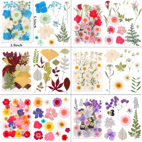 420 Pcs Real Dried Pressed Flowers & Leaves for Resin Crafts & DIY