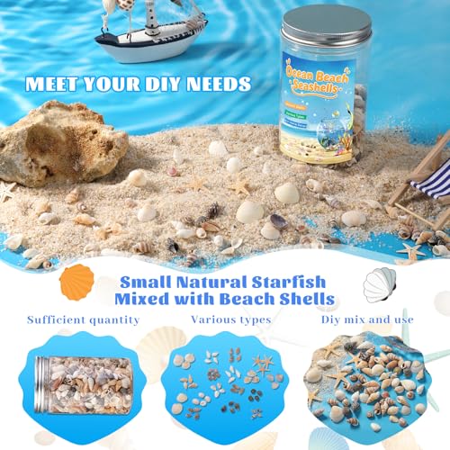 1200 Pcs Natural Mini Seashells & Starfish Set for DIY Crafts & Decor