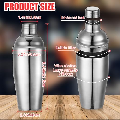Silver 6-Piece Stainless Steel Cocktail Shaker Set 18.6 oz for Home & Bar