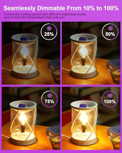 25 Watt Wax Warmer Light Bulbs - G16.5 Globe for Candle Warmers, 6 Pack